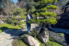 roderico_landscaping-12-1