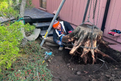 roderico_landscaping-14-1