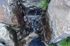 roderico_landscaping-19-1