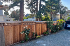 roderico_landscaping-25-1