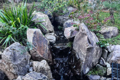 roderico_landscaping-3-1