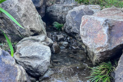 roderico_landscaping-9-1